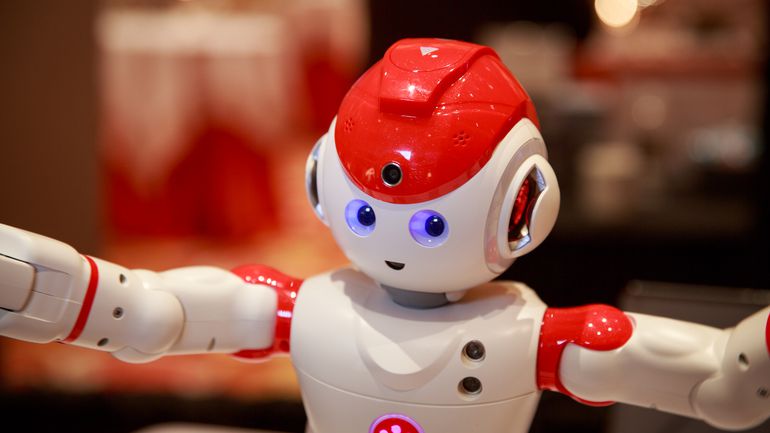 Popular Robots